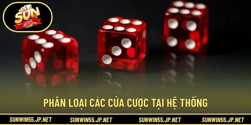 Phân loại các cửa cược tại hệ thống